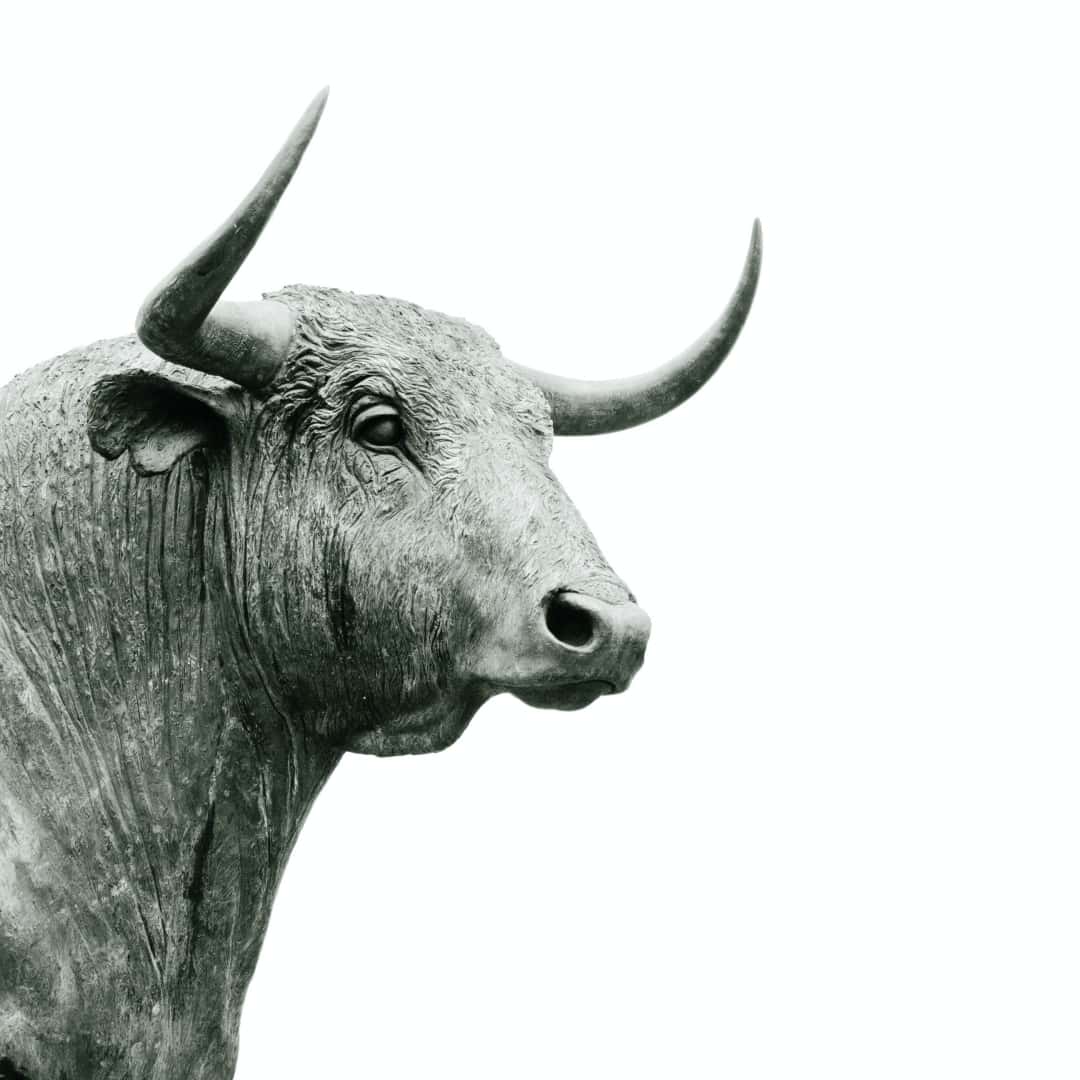 Starting Out in the Stock Market 