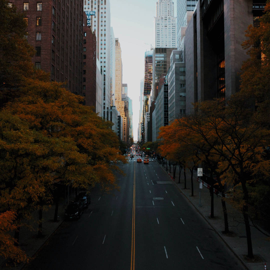 Five Recommended Stocks for Autumn 2023