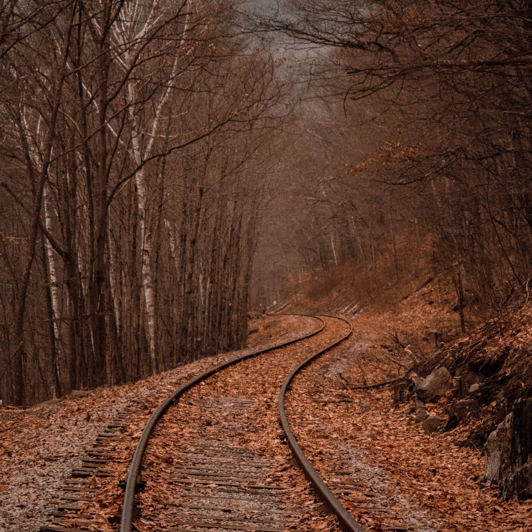 The Stocks to Buy and Watch This Autumn